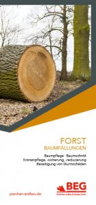 Die Titelseite des Flyers Forstdienstleistung – Baumfällungen zum kostenlosen Download.