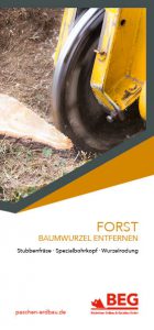 Die Titelseite des Flyers Forstdienstleistung – Baumwurzel entfernen zum kostenlosen Download.