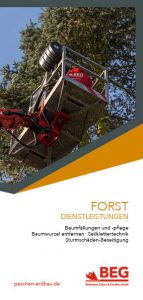 Die Titelseite des Flyers Forstdienstleistung zum kostenlosen Download.