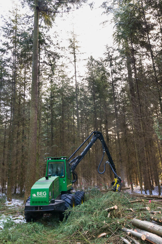 BEG-Forstdienstleistung-Harvester-2 Der Einsatz eines Harvesters gehört zu unserem Leistungsangebot in der Forstdienstleistung.