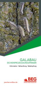 Die Titelseite des Flyers GaLaBau – Eichenprozessionsspinner zum kostenlosen Download.
