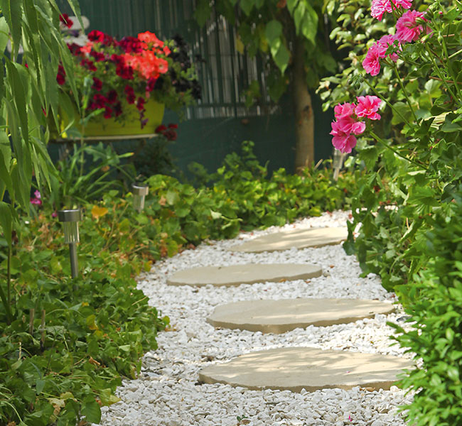 Allée de jardin avec pas japonais Ein gepflegter Gartenweg eingerahmt Pflanzen und Blüten, die Gartenpflege von ihrer schönsten Seite.
