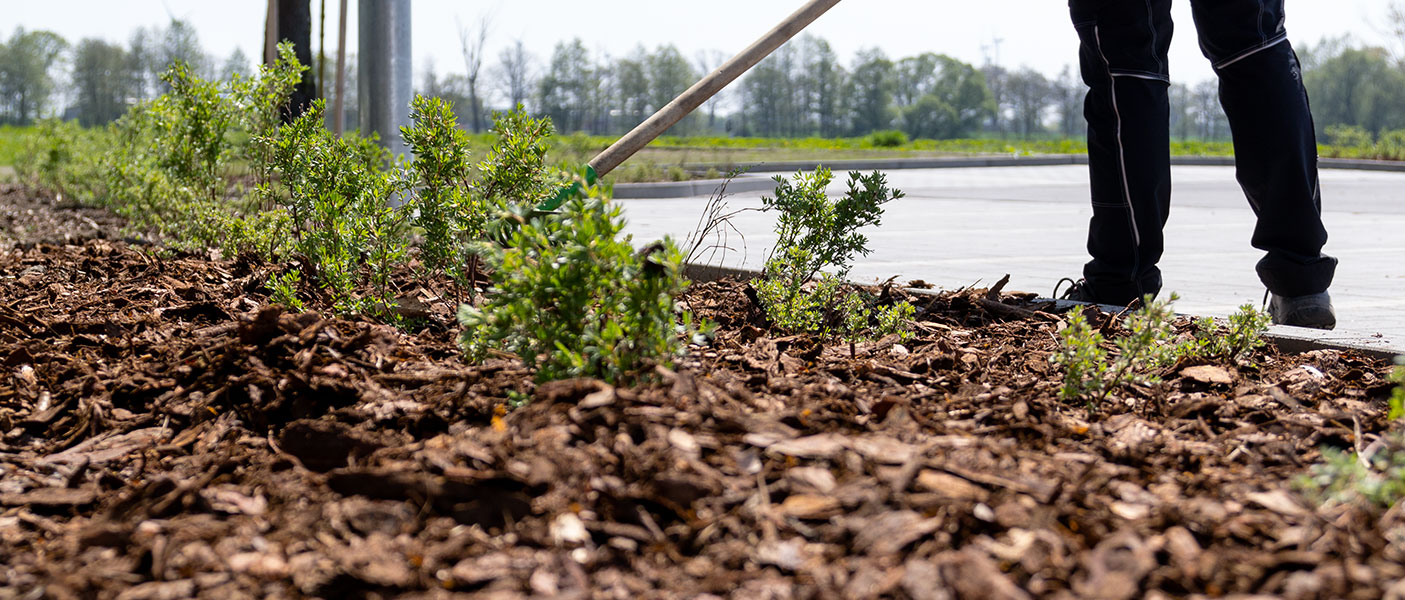 BEG-GaLaBau-Gartenpflege-Titelbild In der Gartenpflege gehört die Beetpflege dazu, damit sorgen wir für ein attraktives Erscheinungsbild.