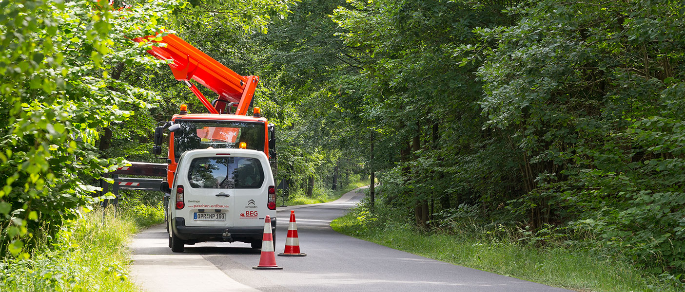 Baumpflege auf öffentlichen Straßen.